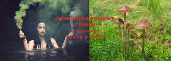 соль курить ск Аркадак