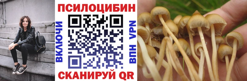 Галлюциногенные грибы ЛСД  Палласовка 